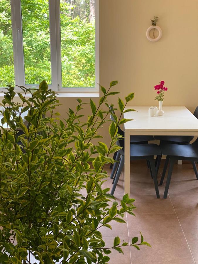 Buxus Hotel Shekvetili ภายนอก รูปภาพ