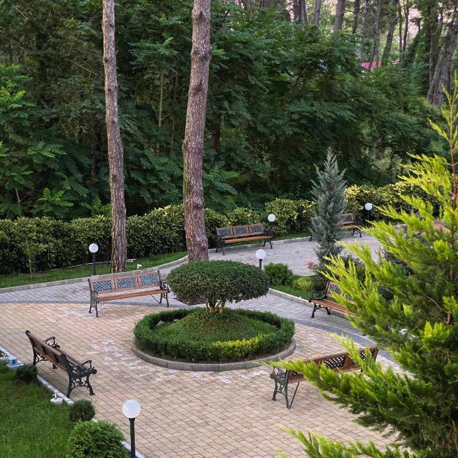 Buxus Hotel Shekvetili ภายนอก รูปภาพ