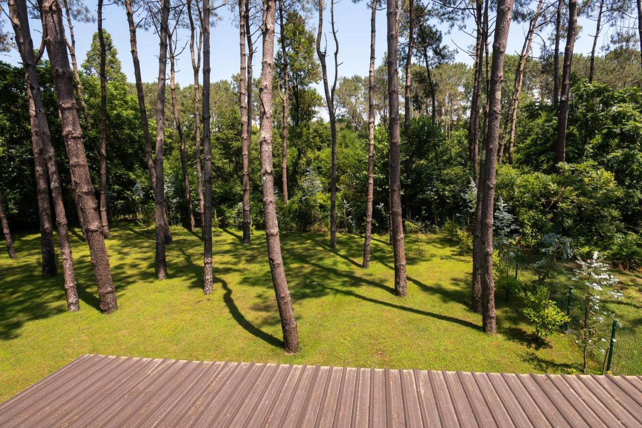 Buxus Hotel Shekvetili ภายนอก รูปภาพ
