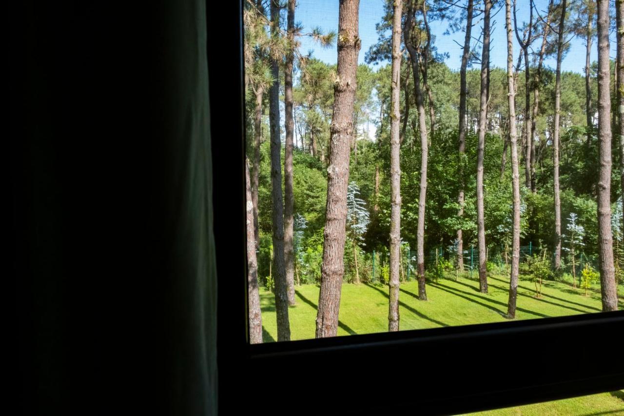 Buxus Hotel Shekvetili ภายนอก รูปภาพ
