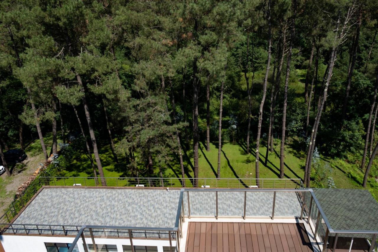 Buxus Hotel Shekvetili ภายนอก รูปภาพ