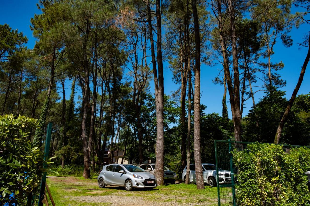 Buxus Hotel Shekvetili ภายนอก รูปภาพ