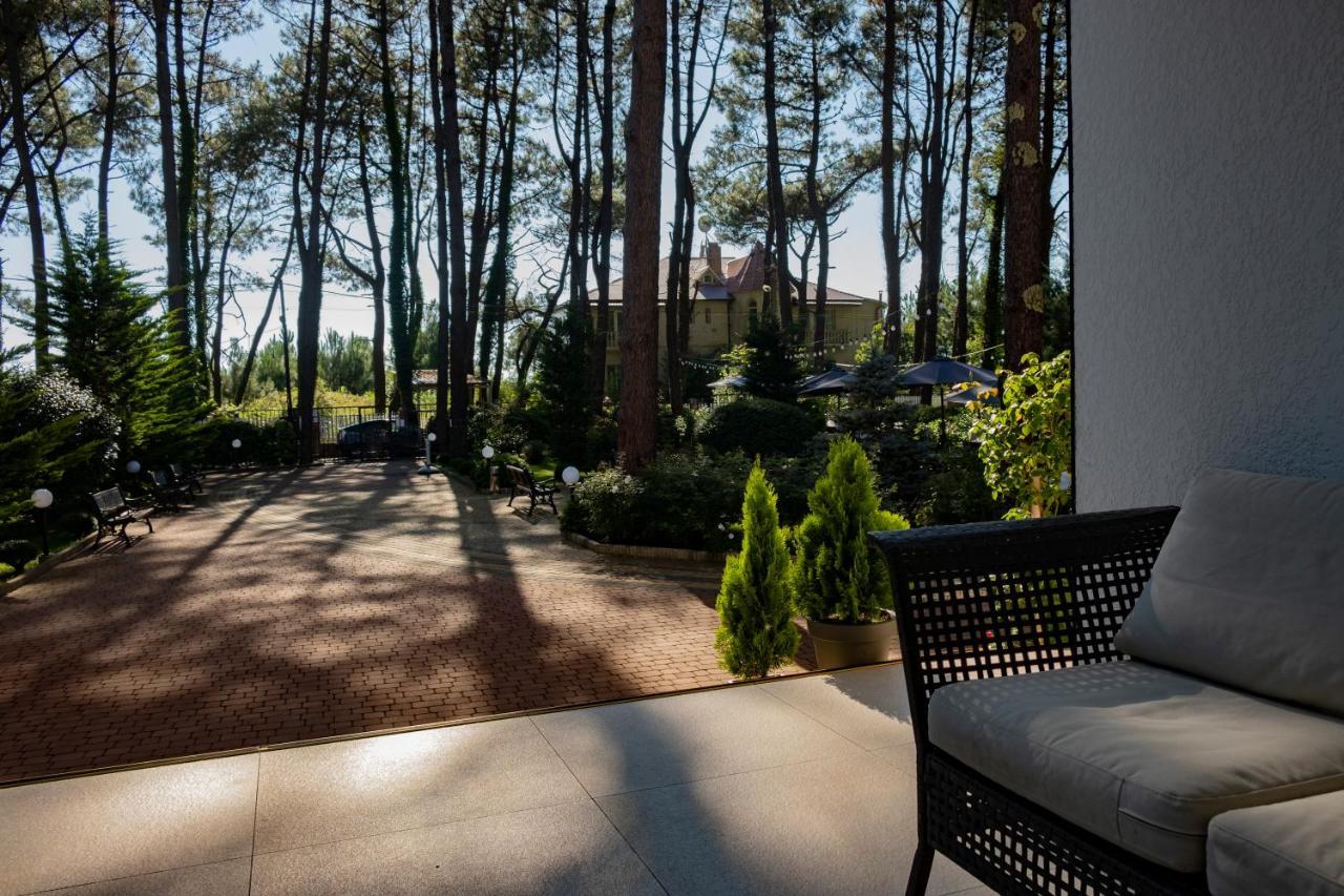 Buxus Hotel Shekvetili ภายนอก รูปภาพ